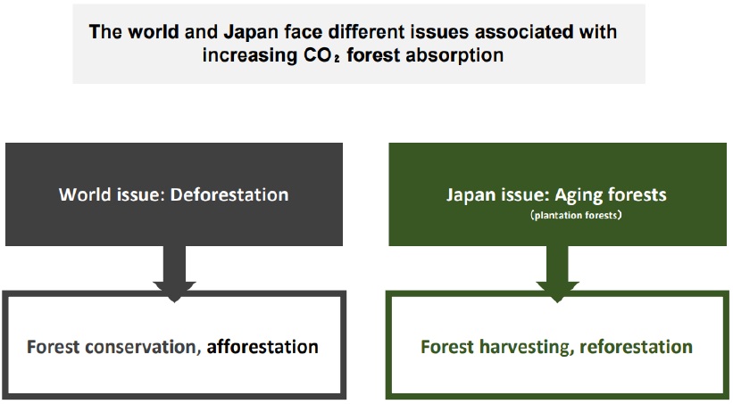 Differing challenges facing utilisation of forest resources