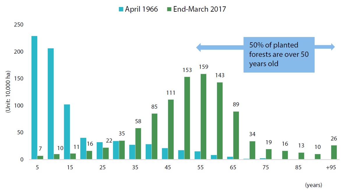 Chart 4: Age composition of Japan’s planted forests