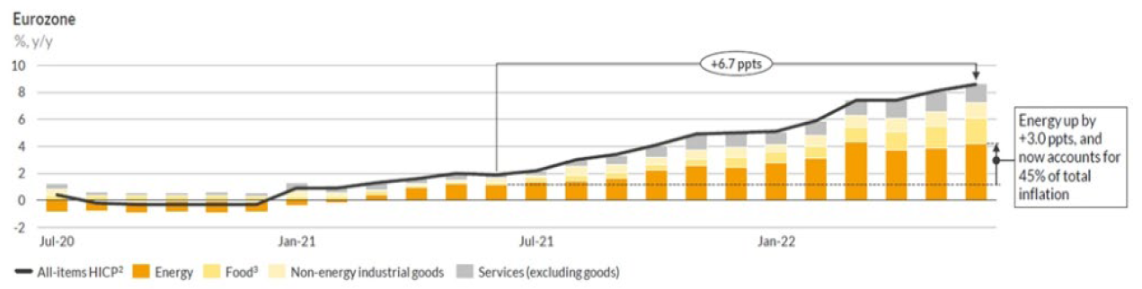 Headline inflation rate with component contributions - Eurozone