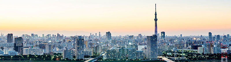 Nikko Asset Management Japan Active Value strategy Nikko Asset Management Japan Active Value strategy
