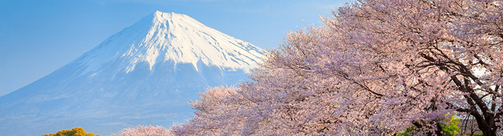 Nikko Asset Management Japan Value Equity Nikko Asset Management Japan Value Equity