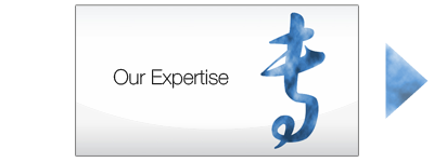 Our Expertise