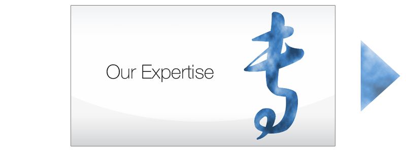 Our Expertise